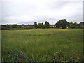 Field by Lawrence Street, Mill Hill