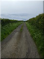 NY0937 : Farm track to Homerigg by Matthew Hatton