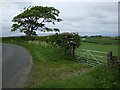 Country lane near Gilgarren