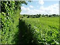 Easterton footpath [EAST15] heading south