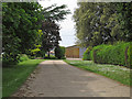 Track to Lavenham Hill Farm