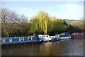 Narrowboats under a weeping willow