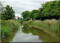 SO8863 : The Droitwich Barge Canal near Newtown, Worcestershire by Roger  Kidd