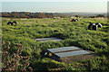 Inspection covers on Wast Hill