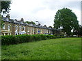 Meynell Crescent from the edge of Well Street Common