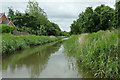 Droitwich Barge Canal near Droitwich Spa, Worcestershire