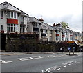 Mount Pleasant houses, Swansea