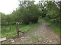 Farm track used by the Devonshire Heartland Way