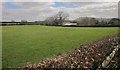 Sheep pasture near Teigncombe