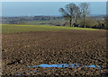 Farmland north of the village of Anstey