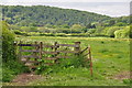 West Somerset : Grassy Field