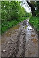 West Somerset : Muddy Track