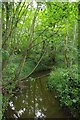 River Colne in Longmeadow Plantation