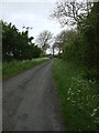 Rural lane to Cowgate