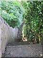 Steps & Footpath - Beech Road