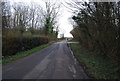 Road through Foreland Wood