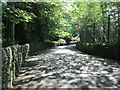 Looking down Steps Lane