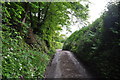 West Somerset : Cottage Lane