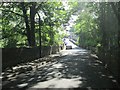 Dam Head Road - viewed from Steps Lane