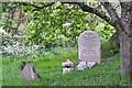 Brushford : St Nicholas Church Gravestone