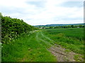 Footpath east to Lower Farm