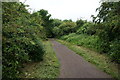 SE5504 : Trans Pennine Trail towards Richmond Hill, Doncaster by Ian S