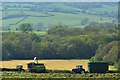 Silage harvesting near the Blackdown Hills, Newcott, Devon