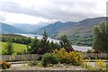 Spring blooms on the Braes of Ullapool