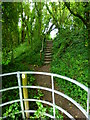 Footpath goes up steps over embankment of former railway