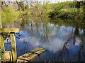 Sluice Gate on the second pool down from Broome Mill