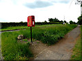 Rodbridge Long Melford Postbox