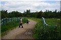 Trans Pennine Trail towards Dearne Road