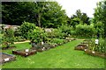 Raised beds in the walled garden