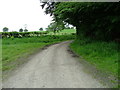 The bridleway above Neuadd-fawr