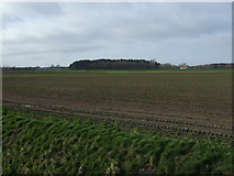SD3108 : Farmland off Downholland Moss Lane by JThomas