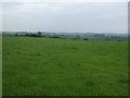 Grazing near RAF North Luffenham