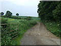 Farm track off Stamford Road