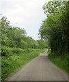 Road past Hollow Moor