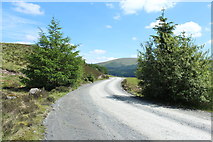 NX4794 : Carrick Forest Drive to Loch Doon by Billy McCrorie