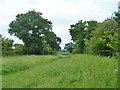 Bridleway from Crows Lane to Bicknacre