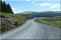 NX4794 : Carrick Forest Drive approaching Loch Doon by Billy McCrorie