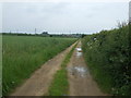 TF0506 : Farm track near Pilsgate Lodges by JThomas
