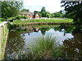 A pond and house in Knole Park