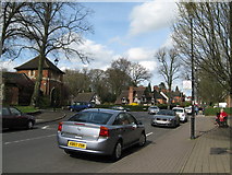 SP0481 : On Sycamore Road - Bournville, Birmingham by Martin Richard Phelan