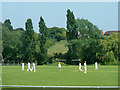 Cricket match, Purleigh