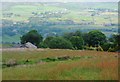 Hillside Meadow above Higher Red Lees