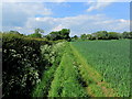 Footpath in Upsland