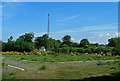 Communication Mast at Cumnock