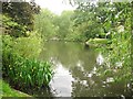 The lake in Langtons House gardens