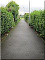 Footpath - Brooklands Lane 